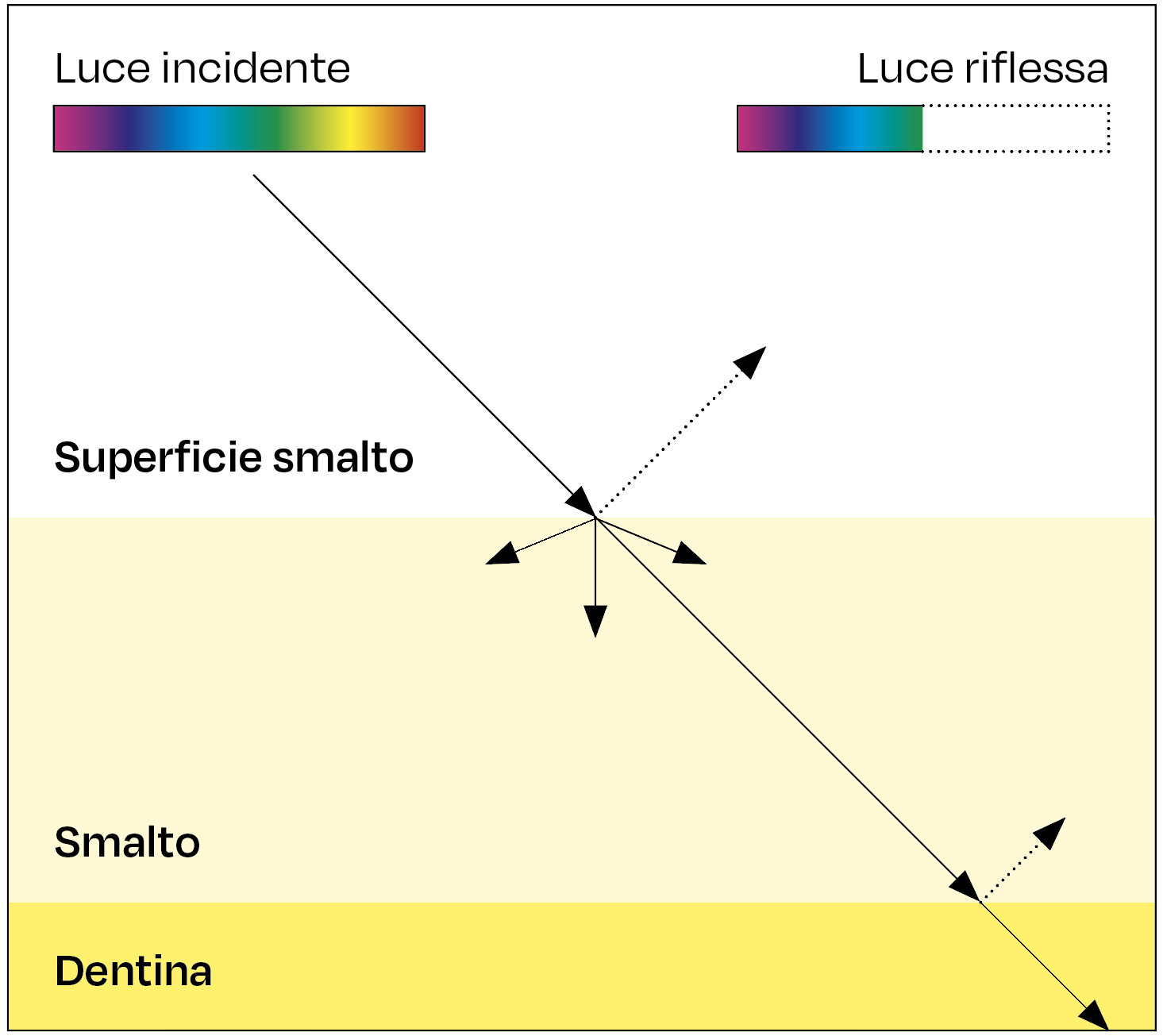 Fig. 1B